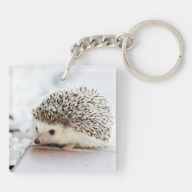Cute Baby Hedgehog Keychain (Back)