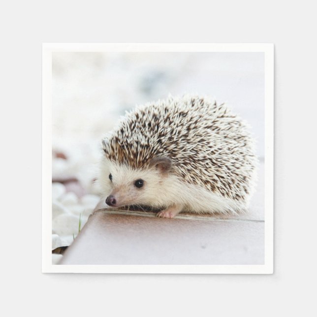 Cute Baby Hedgehog Napkin (Front)