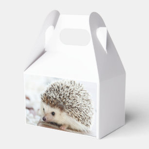 Cute Baby Hedgehog Photo Favor Box