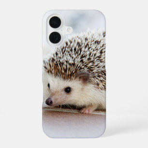 Cute Baby Hedgehog Photo iPhone 16 Case