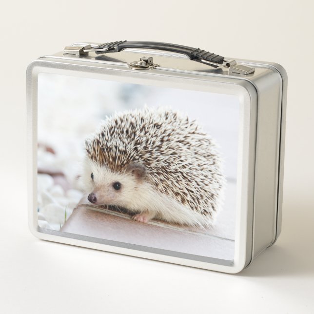 Cute Baby Hedgehog Photo Metal Lunch Box (Front)