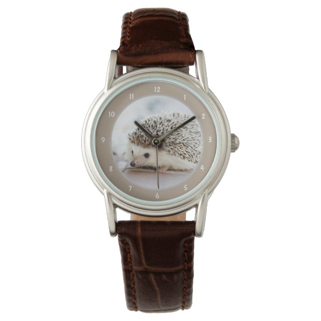 Cute Baby Hedgehog Photo Watch (Front)