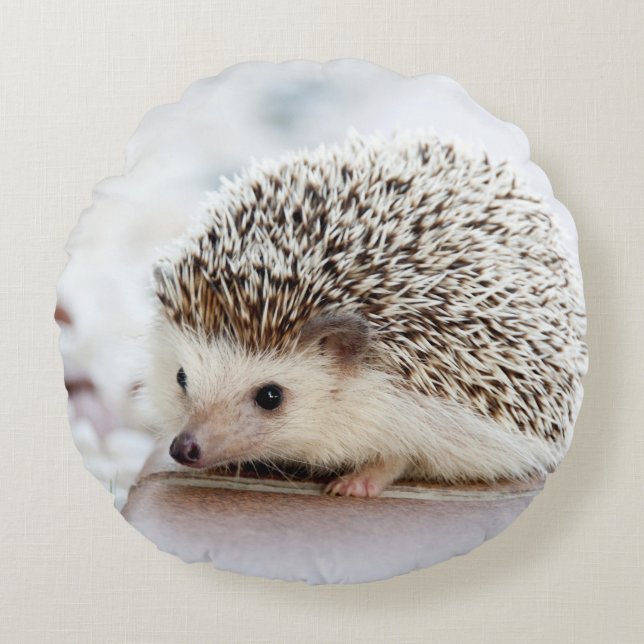 Cute Baby Hedgehog Round Pillow (Front)