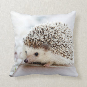 Cute Baby Hedgehog Throw Pillow