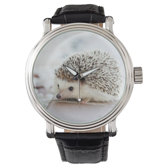 Cute Baby Hedgehog Watch (Front)
