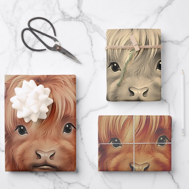 Cute Baby Highland Cow Valentine Hearts 2 Wrapping Paper Sheet (Front)