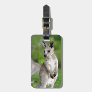 Cute baby kangaroo luggage tag