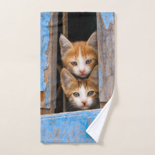Cute baby kittens in an old vintage blue window - bath towel set