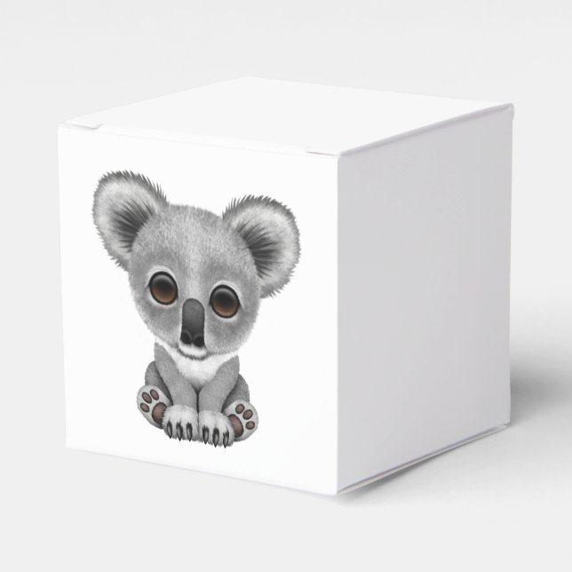Cute Baby Koala Bear Cub Favor Box (Front Side)