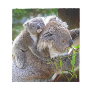 Cute baby koala bear with mom in a tree notepad