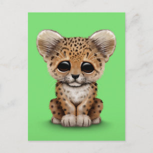Cute Baby Leopard Cub on Green Postcard