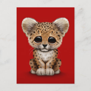 Cute Baby Leopard Cub on Red Postcard