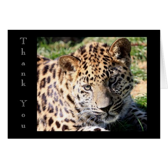 Cute baby leopard cub photo thank you card