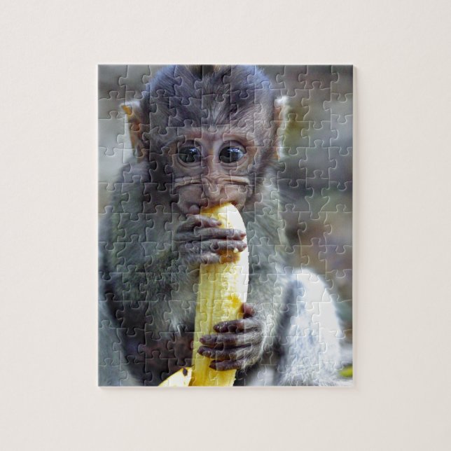 Cute baby macaque monkey eating banana jigsaw puzzle (Vertical)