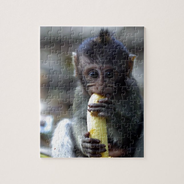 Cute baby macaque monkey eating banana jigsaw puzzle (Vertical)