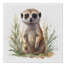 Cute baby meerkat, watercolor on