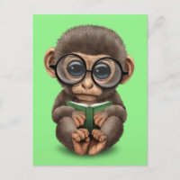 Cute Baby Monkey Reading a Book on Green