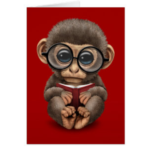 Cute Baby Monkey Reading a Book on Red