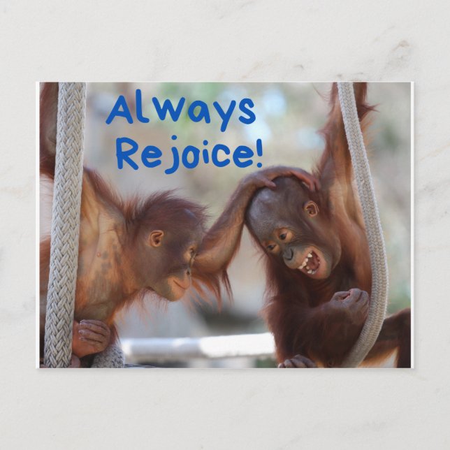 Cute Baby Orangutan Always Rejoice Postcard (Front)