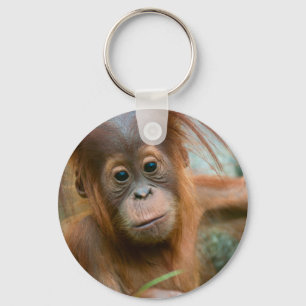 Cute Baby Orangutan looking straight ahead Keychain