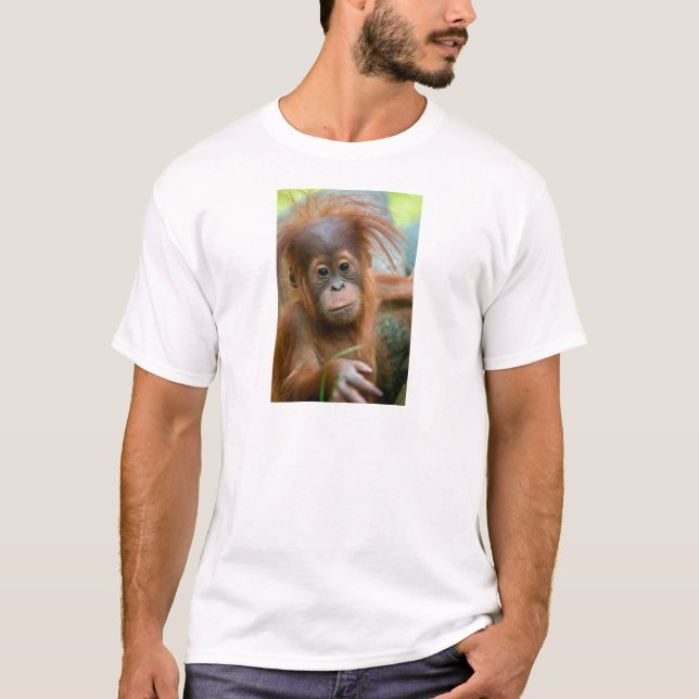 Cute Baby Orangutan looking straight ahead T-Shirt (Front)
