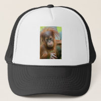 Cute Baby Orangutan looking straight ahead