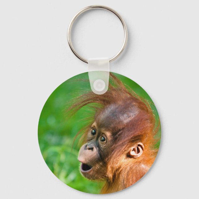 Cute baby orangutan looks on in wonder keychain (Front)