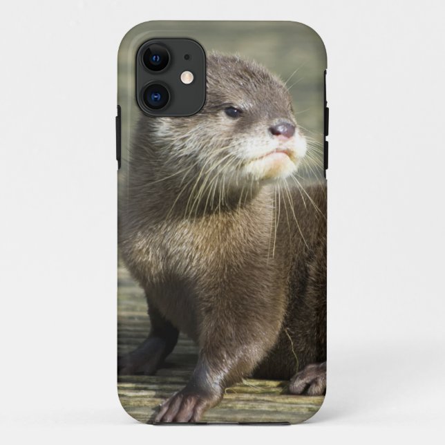 Cute Baby Otter Case-Mate iPhone Case (Back)