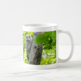 Cute Baby Owl Coffee Mug