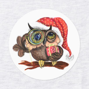 Cute Baby Owl In Christmas Hat and Gift - Fun