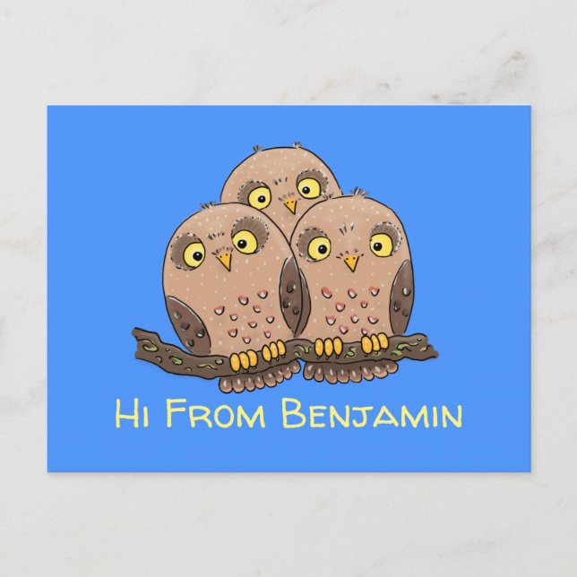 Cute baby owl trio cartoon illustration postcard (Front)