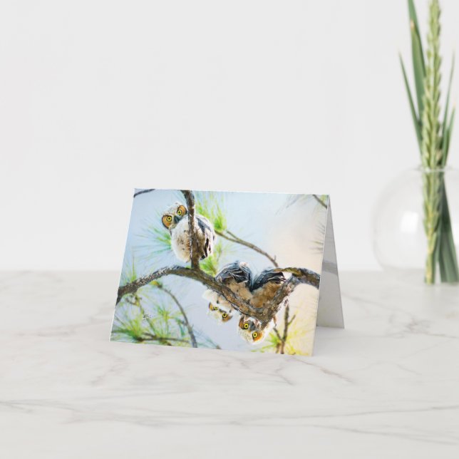 Cute Baby Owls Blank All Occasion Holiday Card (Front)