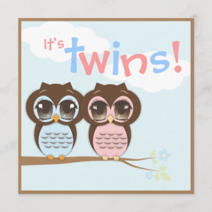 Cute Baby Owls Twins Baby Shower Invitation