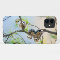 Cute Baby Owls with Big Eyes Fine Art