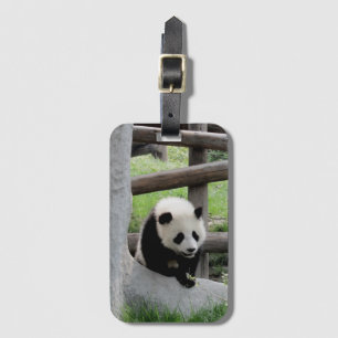 Cute Baby Panda Luggage Tag
