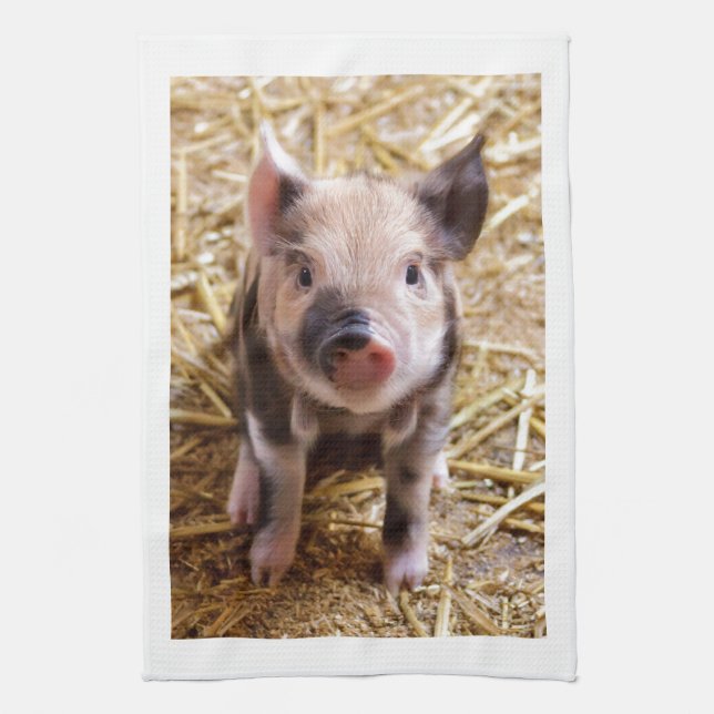 Cute Baby Piglet Farm Animals Barnyard Babies Kitchen Towel (Vertical)