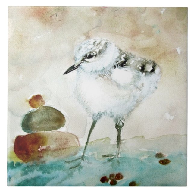 Cute Baby Plover Ceramic Kitchen Tile (Front)