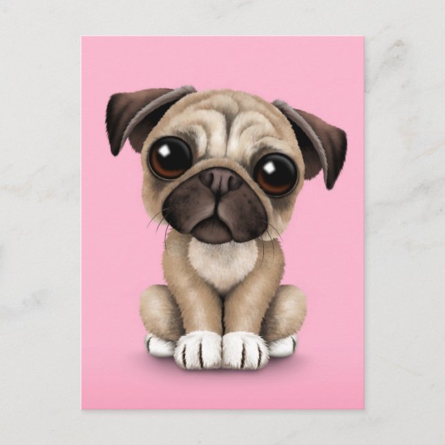 Cute Baby Pug Puppy Dog on Pink Postcard (Front)