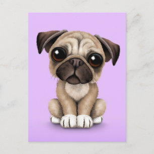 Cute Baby Pug Puppy Dog on Purple Postcard