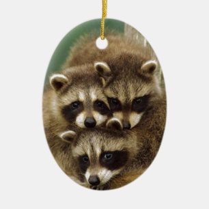 Cute Baby Raccoon Ceramic Ornament