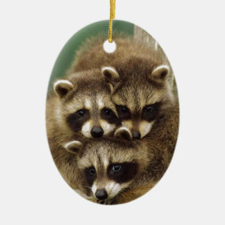 Cute Baby Raccoon Ceramic Ornament