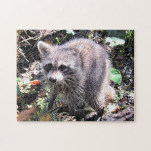 Cute Baby Raccoon Foraging Jigsaw Puzzle