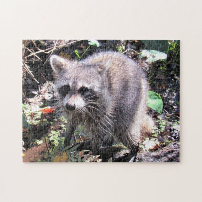 Cute Baby Raccoon Foraging Jigsaw Puzzle (Horizontal)