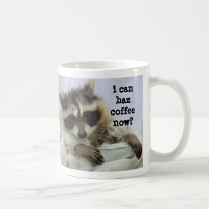 Cute Baby Raccoon Mug, I can haz coffee now? Mug