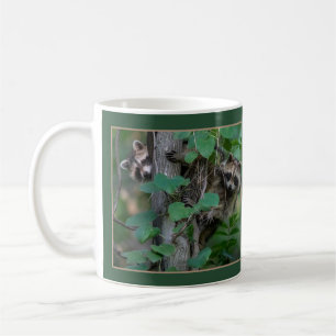 Cute Baby Raccoons /Border Coffee Mug