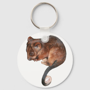 Cute Baby Ringtail Possum Keychain