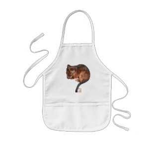 Cute Baby Ringtail Possum Kids Apron