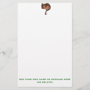 Cute Baby Ringtail Possum Stationery
