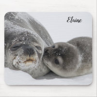 Cute Baby Seal and Mom Personalized Mouse Pad