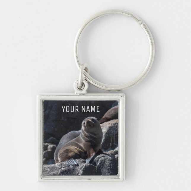 Cute Baby Seal on the Rocks Tasmania Australia Keychain (Front)